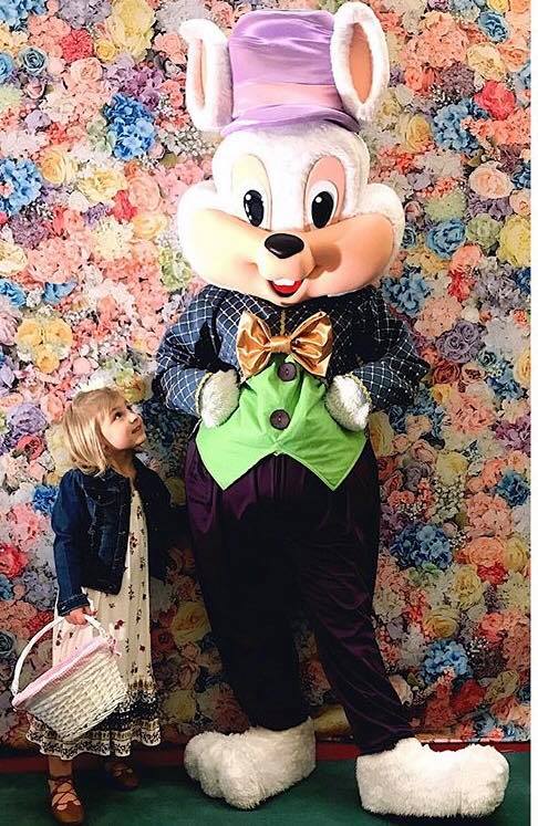 mr.bunny