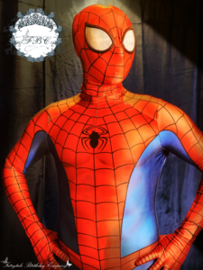 Spider Hero