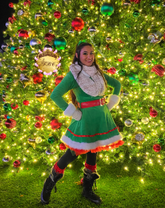 Elf Edited